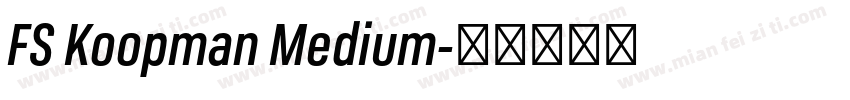 FS Koopman Medium字体转换